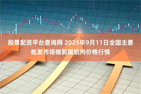 股票配资平台查询网 2025年9月11日全国主要批发市场猪前腿肌肉价格行情