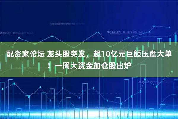 配资家论坛 龙头股突发，超10亿元巨额压盘大单！一周大资金加仓股出炉