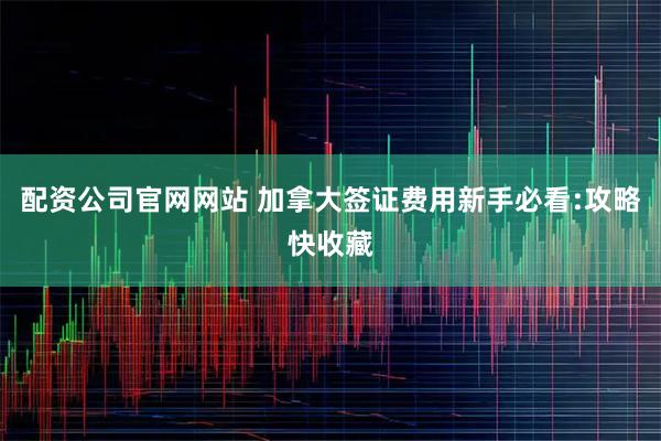 配资公司官网网站 加拿大签证费用新手必看:攻略快收藏